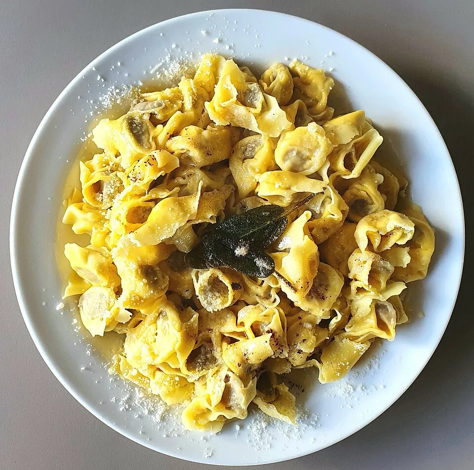Agnolini