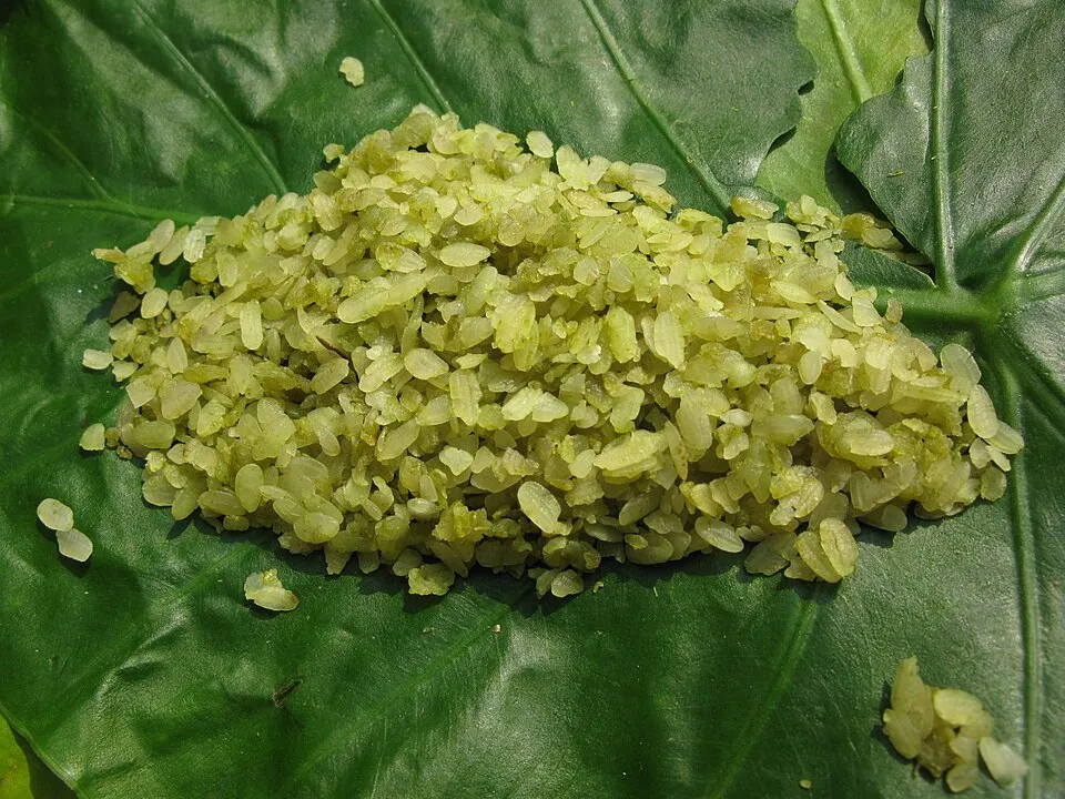 cốm, a dish from Vietnam