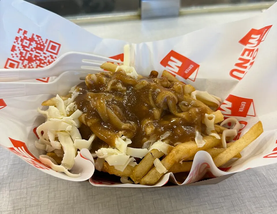 Disco fries