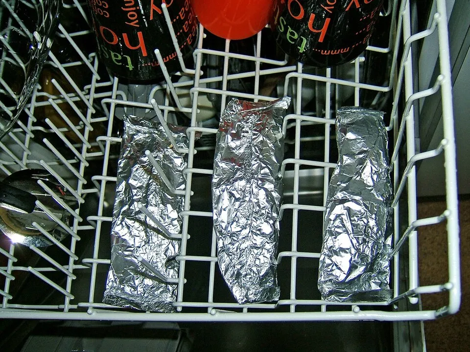 dishwasher salmon, a dish from United States