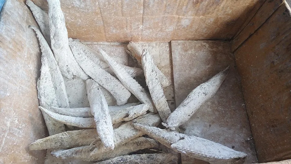 keumamah, a dish from Indonesia