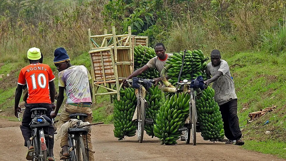 Matoke, a dish from Uganda