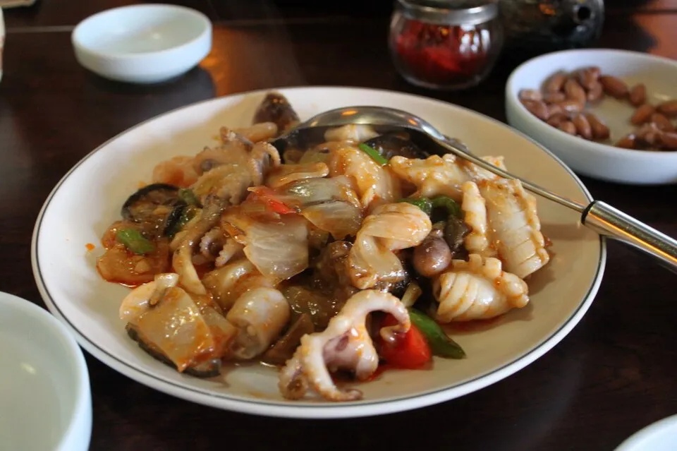 Palbochae