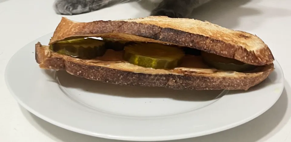 peanut butter and pickle sandwich, a dish from United States