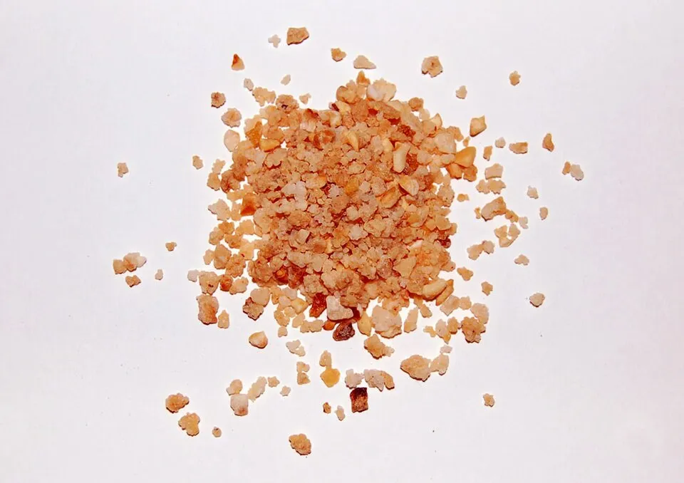 Praline, a dish from France