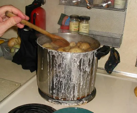 salt potatoes, a dish from United States