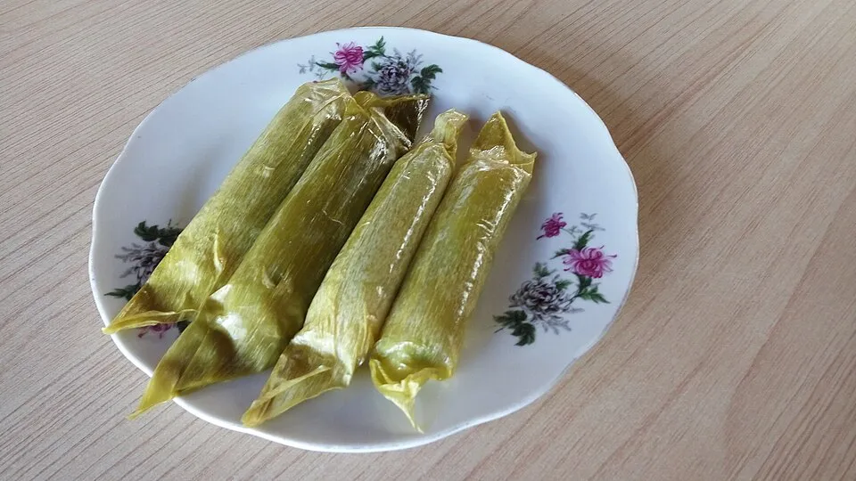 timphan, a dish from Indonesia